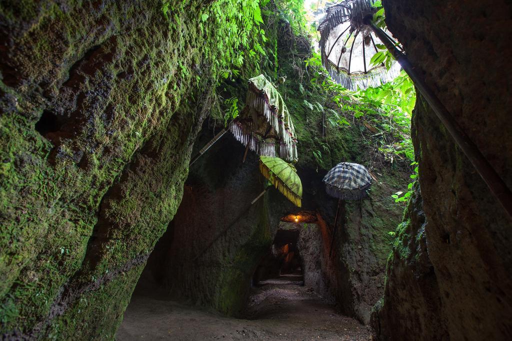 德格拉朗 Bali Eco Adventure And Retreat Center酒店 外观 照片