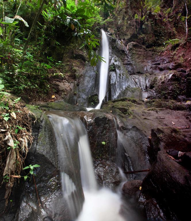 德格拉朗 Bali Eco Adventure And Retreat Center酒店 外观 照片