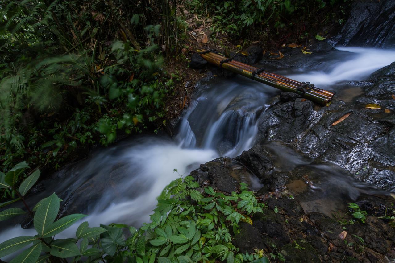 德格拉朗 Bali Eco Adventure And Retreat Center酒店 外观 照片