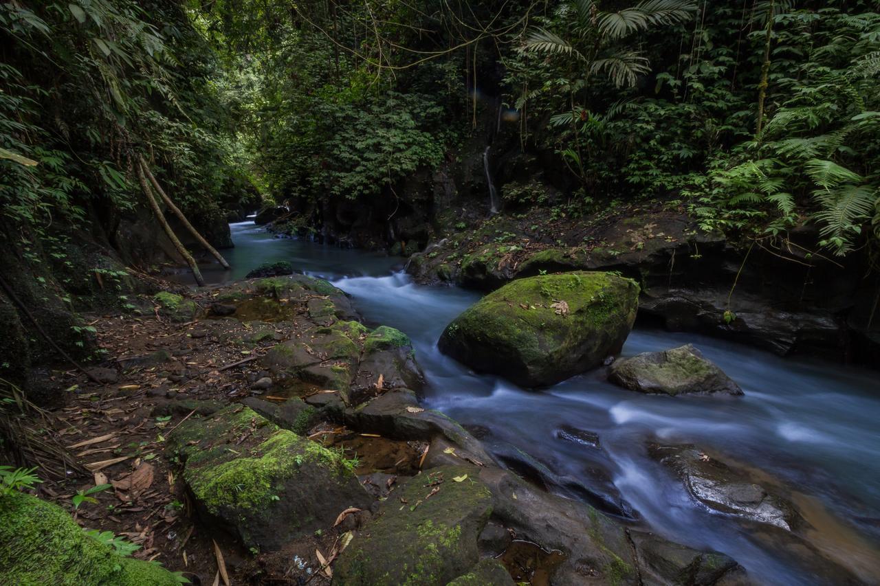 德格拉朗 Bali Eco Adventure And Retreat Center酒店 外观 照片
