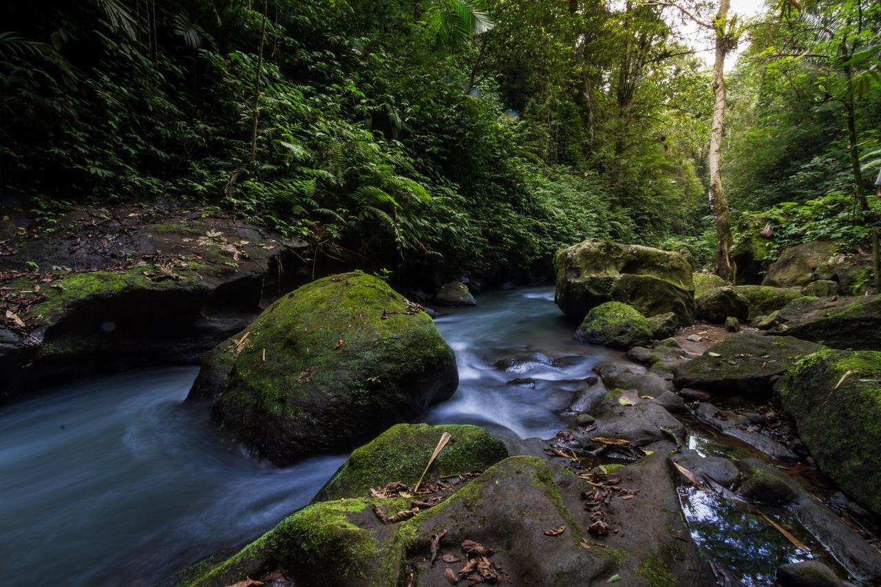 德格拉朗 Bali Eco Adventure And Retreat Center酒店 外观 照片
