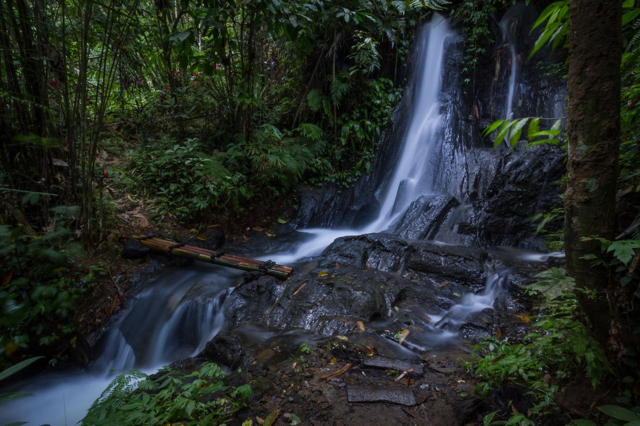 德格拉朗 Bali Eco Adventure And Retreat Center酒店 外观 照片